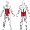 Build Core Strength