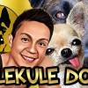 GuleKule Dogs - Brisbane - 10 & 11 October 2024